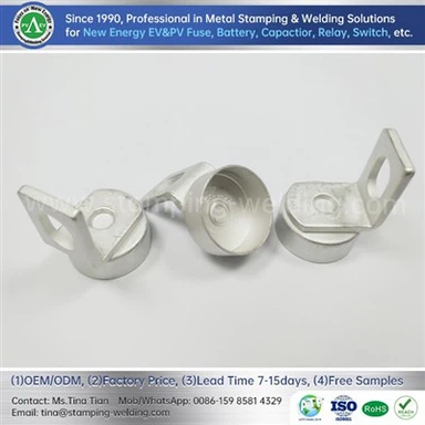 বৈদ্যুতিক গাড়ির জন্য ফিউজ টার্মিনাল ক্যাপ