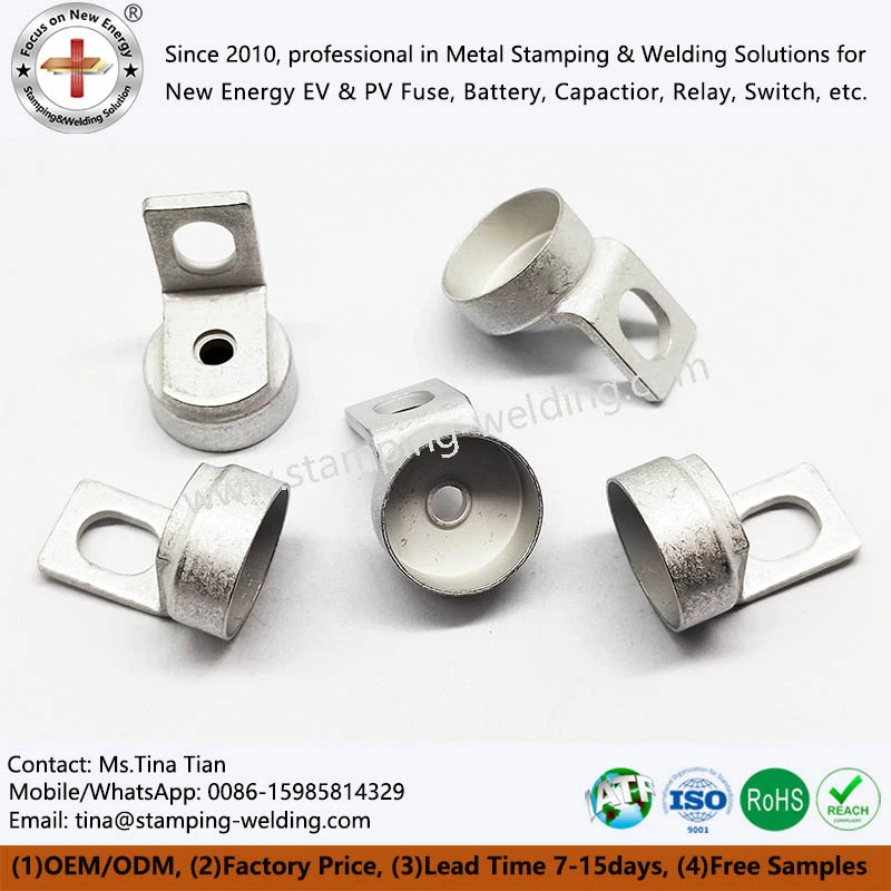 নতুন এনার্জি ভেহিকেল ফিউজ