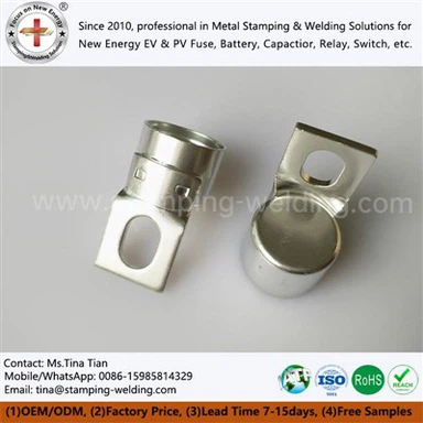 উজ্জ্বল টিনযুক্ত তামা শেষ ক্যাপগুলি